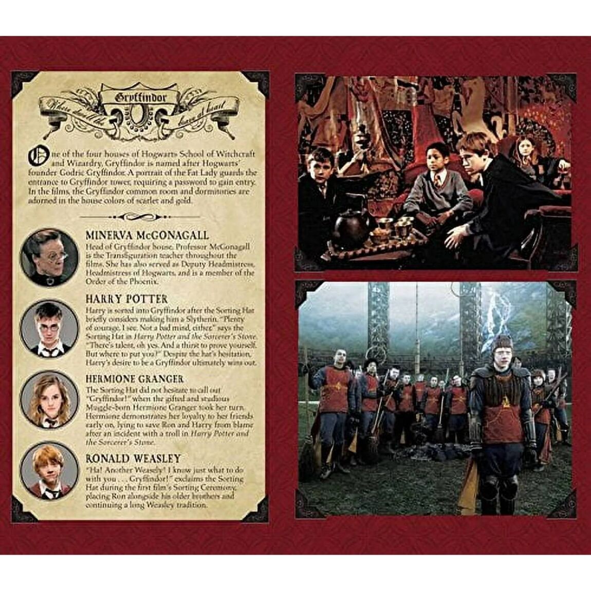 Harry Potter : Journal de poche ligné Gryffondor, éditions intérieures