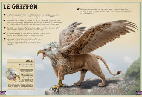 Aperçu enchanteur d'une créature fantastique, illustrée dans le livre extraordinaire des créatures fantastiques de AU BORD DES CONTINENTS.