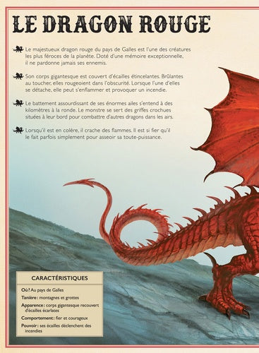 Détails fascinants sur les mythes des dragons dans 'Le livre extraordinaire des dragons' de AU BORD DES CONTINENTS.