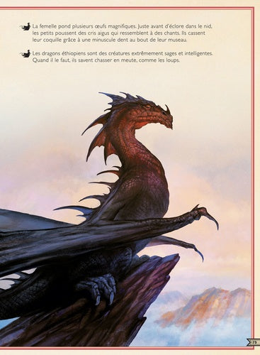 Émerveillez-vous devant les illustrations spectaculaires de 'Le livre extraordinaire des dragons' par AU BORD DES CONTINENTS.