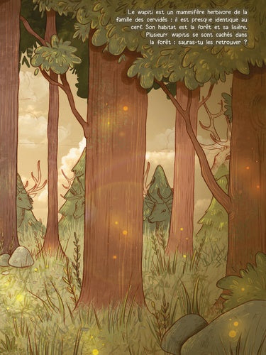 Un jeune sorcier feuilletant 'L'abécédaire de la magie' de AU BORD DES CONTINENTS, explorant un monde riche en enchantements et en savoirs mystiques.