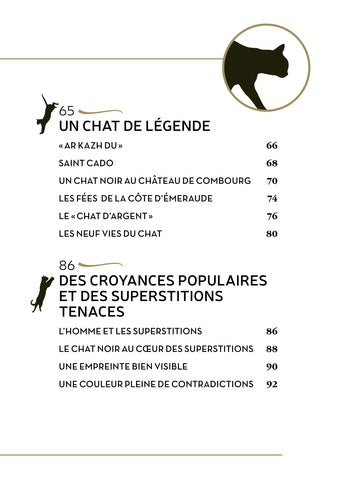 Stylisation du chat noir, un emblème de croyances et superstitions, signé AU BORD DES CONTINENTS.