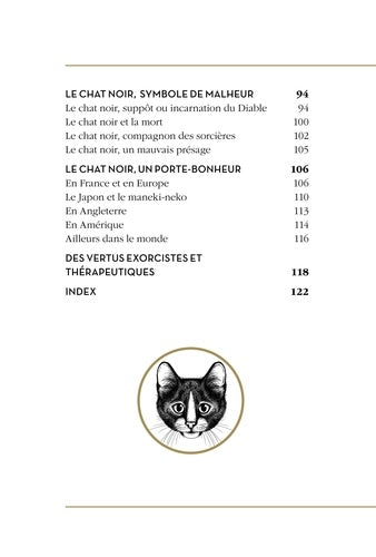 Illustration intrigante d'un chat noir mystérieux, mettant en valeur l'univers des symboles et superstitions, par le vendeur AU BORD DES CONTINENTS.