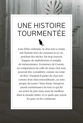 Représentation intrigante d'un chat noir, symbole chargé d'émotion, créée par AU BORD DES CONTINENTS, révélant des histoires anciennes.
