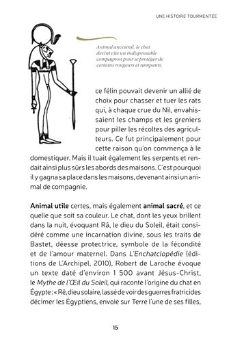 Illustration captivante représentant un chat noir, emblème de mystères et de superstitions, proposée par AU BORD DES CONTINENTS dans le cadre du produit 'Mystérieux chat noir. Symboles & Superstitions'.