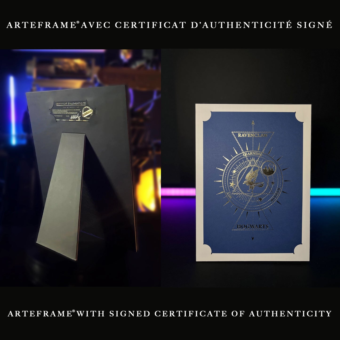 Affiche de collection Serdaigle - Harry Potter, vue en portrait, idéale pour embellir votre salon ou bureau.