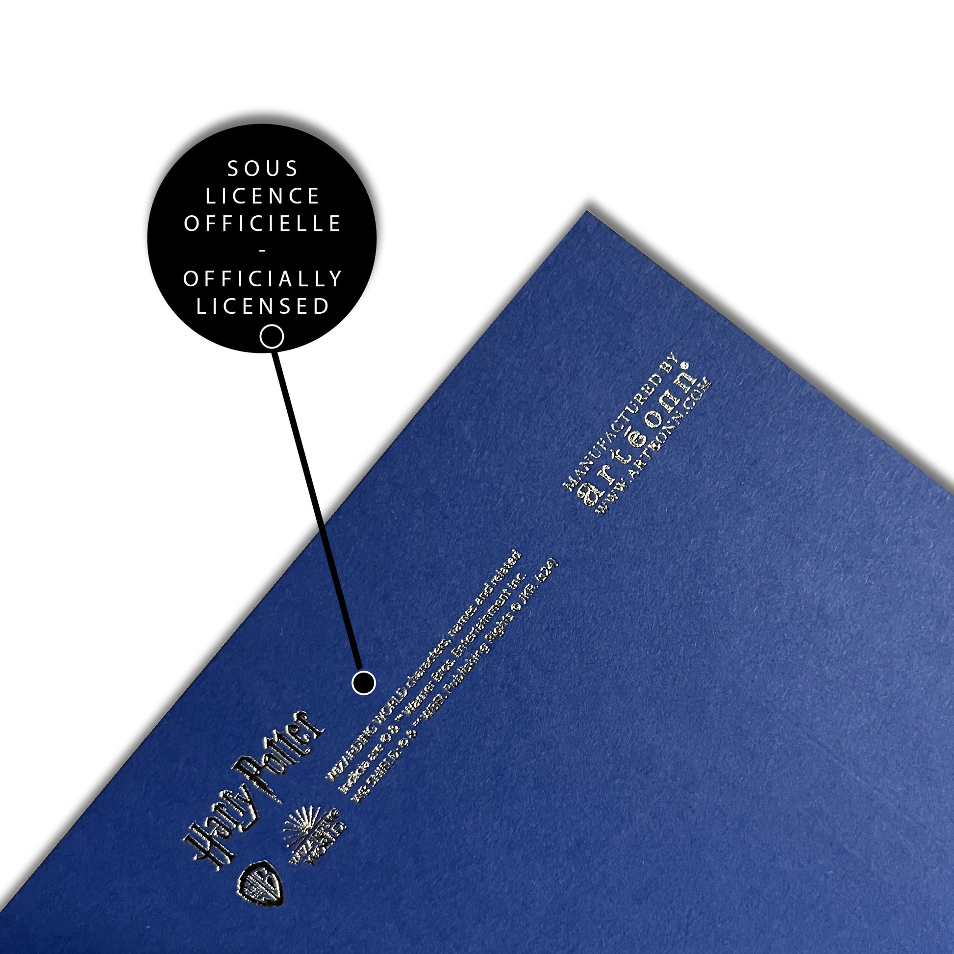 Ambiance captivante avec l'affiche de collection Serdaigle - Harry Potter, apportant une touche de magie à votre décoration intérieure.