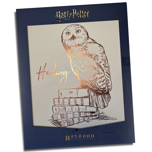 Affiche de collection Hedwige - Harry Potter, mettant en avant la fidèle hibou de Harry avec une impression de haute qualité.