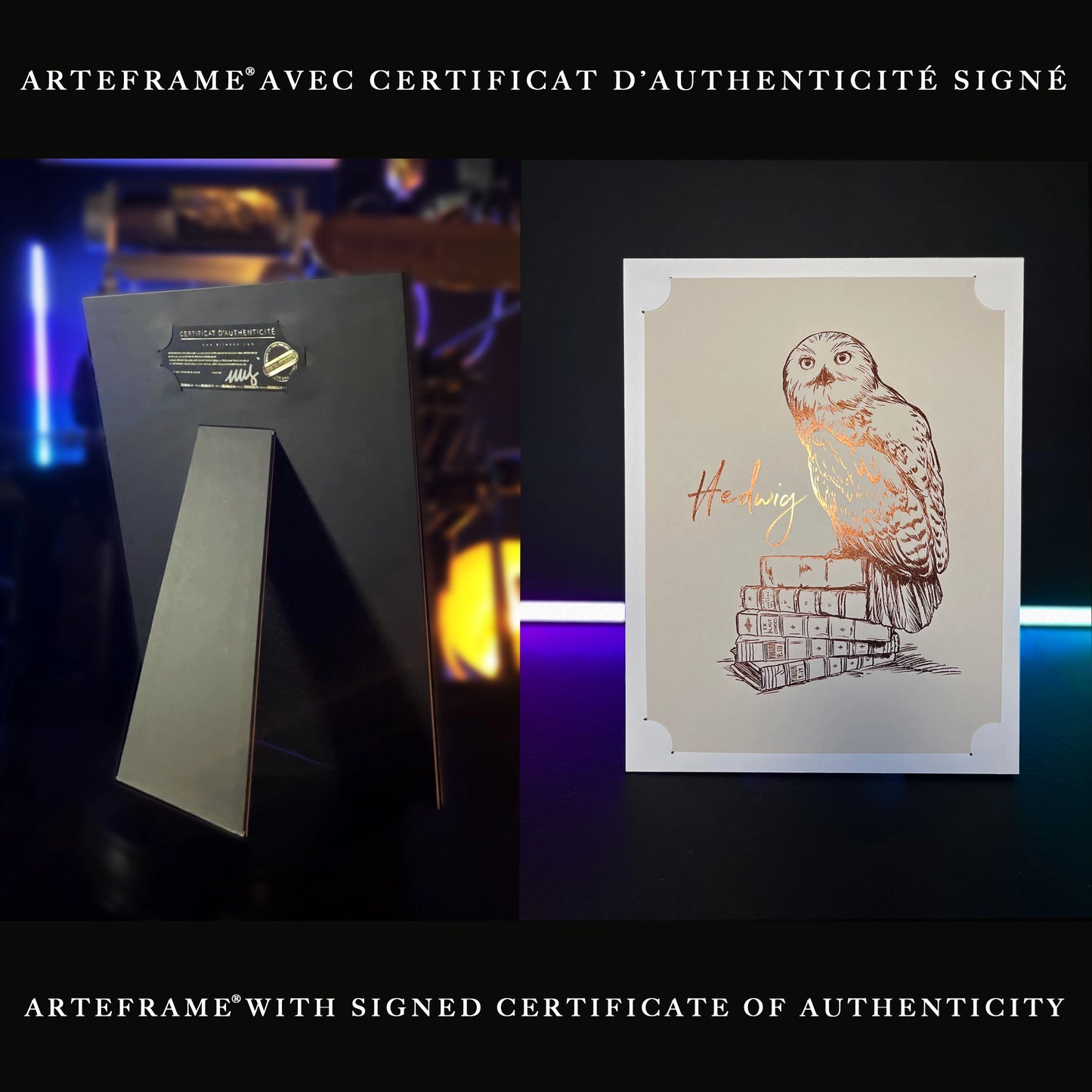 L'affiche de collection Hedwige - Harry Potter en orientation portrait, idéale pour décorer votre espace.