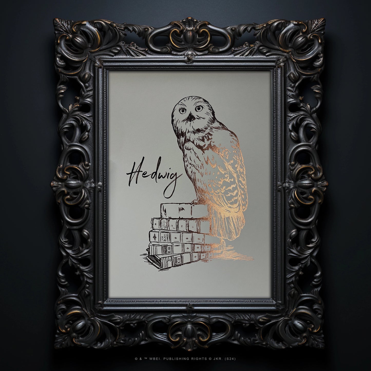 Affiche de collection Hedwige - Harry Potter, parfaite pour la chambre d'un jeune sorcier ou la décoration de votre bureau.