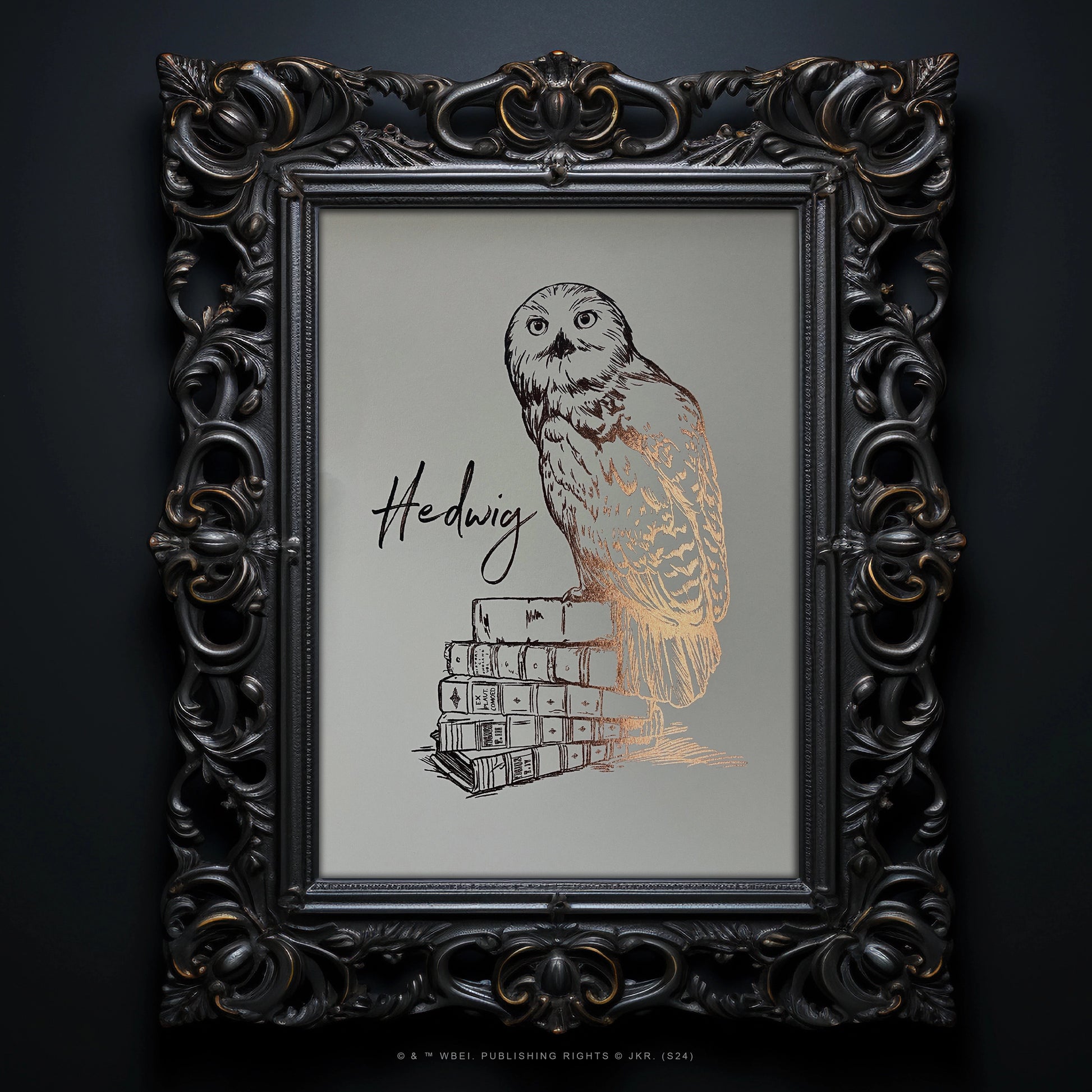 Affiche de collection Hedwige - Harry Potter, parfaite pour la chambre d'un jeune sorcier ou la décoration de votre bureau.