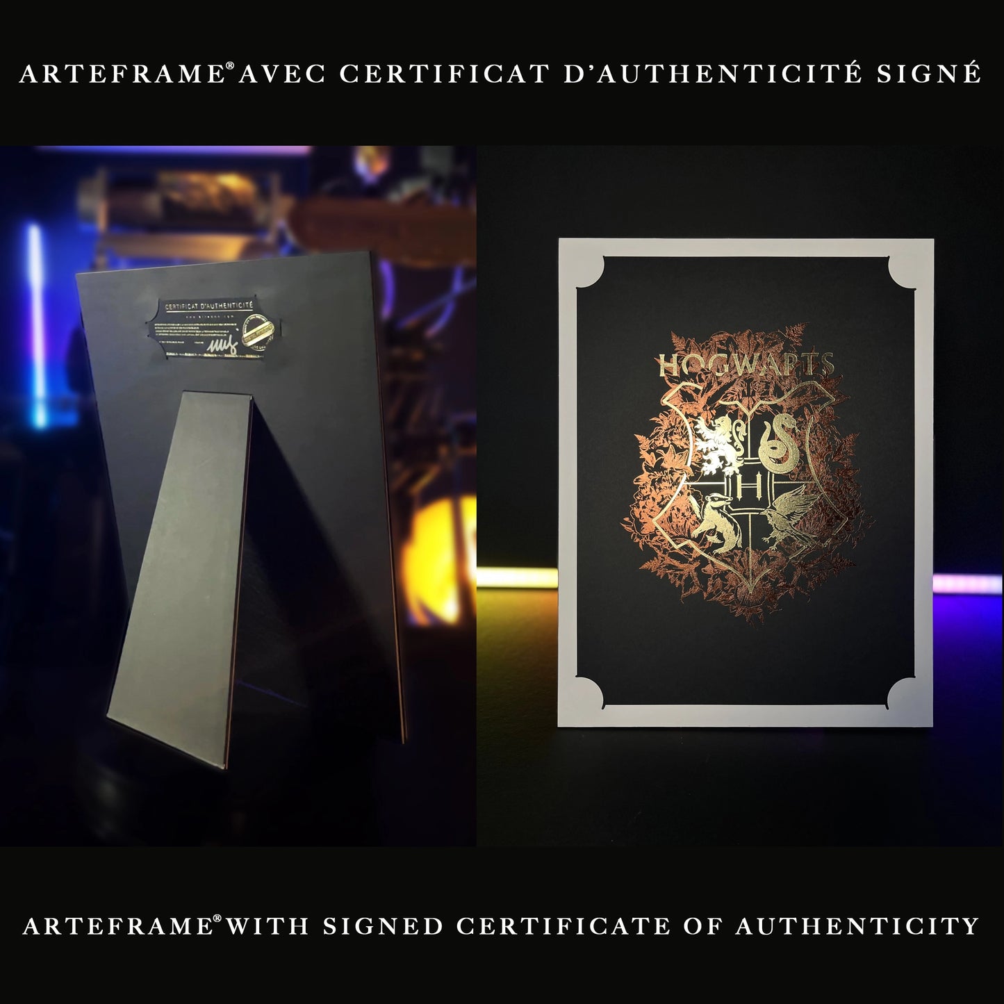 Affiche de collection Poudlard - Harry Potter en orientation portrait, idéale pour orner les murs de votre chambre ou bureau.