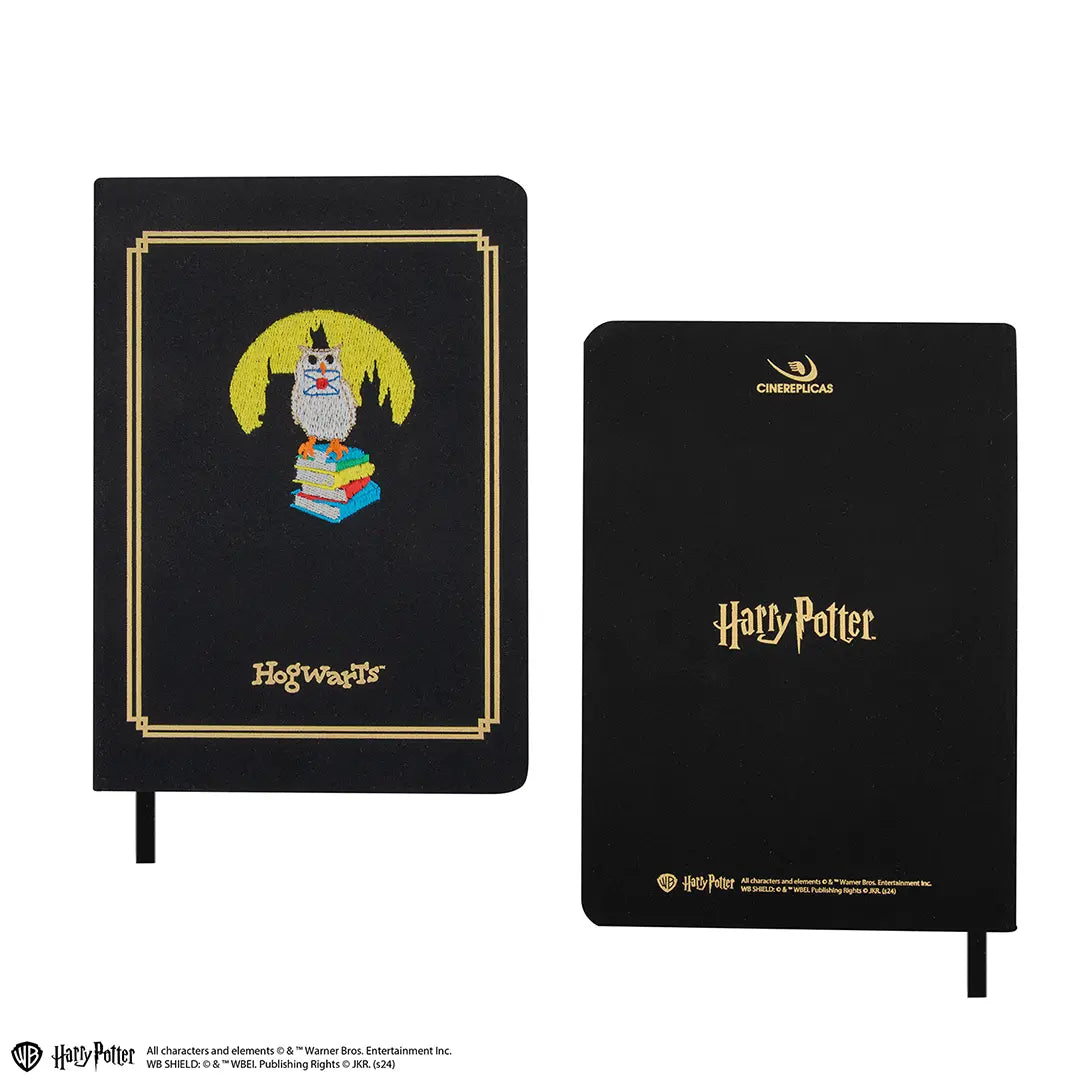 Vue plongeante sur le Carnet brodé Hedwige - Harry Potter, mettant en évidence son design captivant et ses pages de qualité pour inspirer votre créativité.