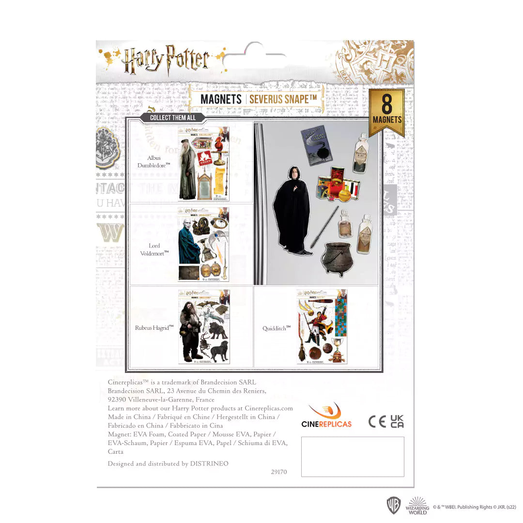 Planche de magnets en mousse - Severus Rogue - Harry Potter : Décorations captivantes avec le professeur Rogue et des éléments de potions magiques.