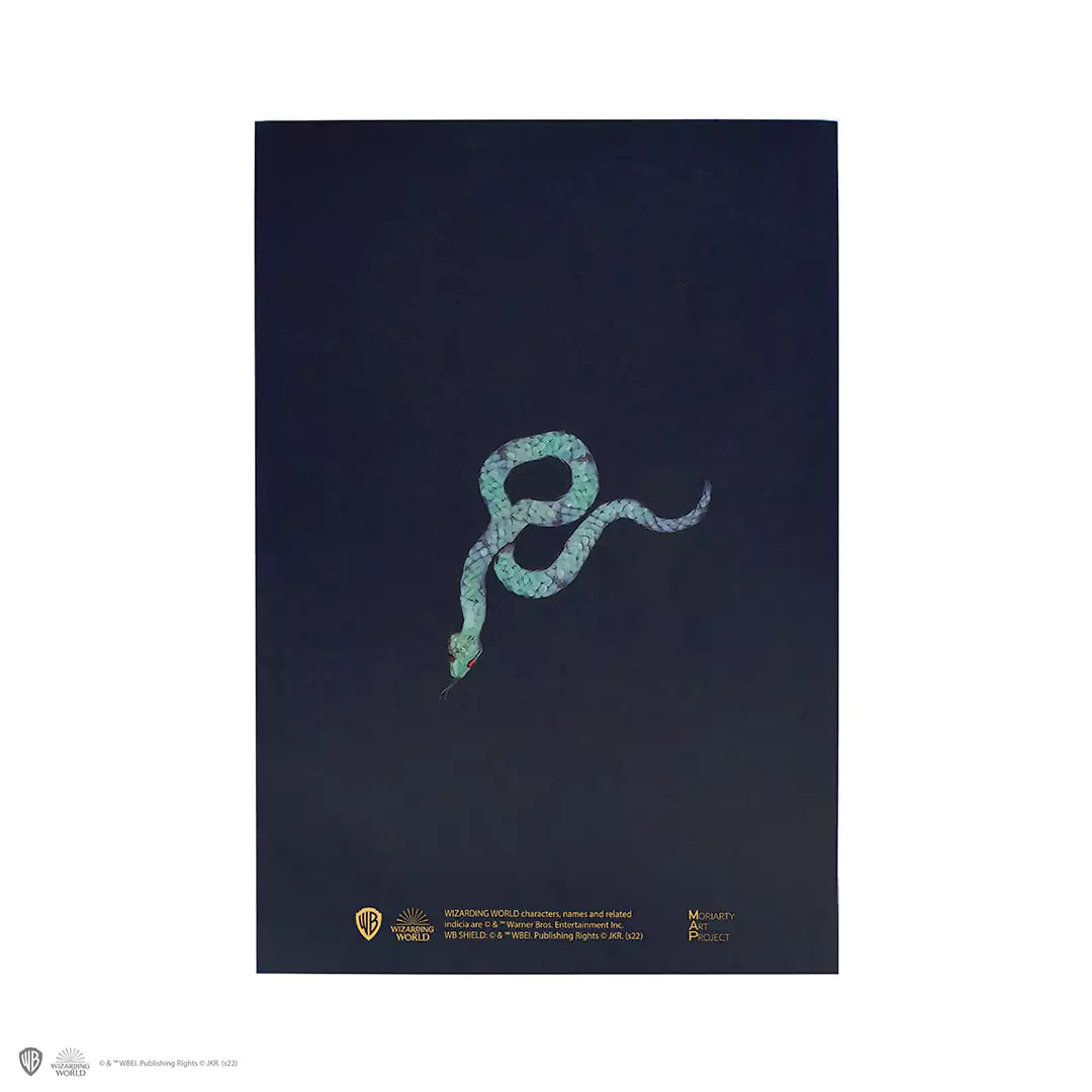 Carnet souple - Drago Malefoy Portrait, une vue du détail de la couverture, mettant en avant son élégance et son mystère.