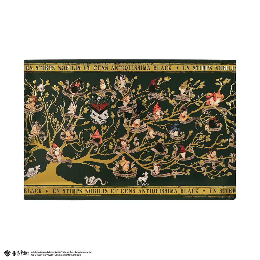 Plaque en aluminium Famille Black - Harry Potter, une décoration unique pour les fans, idéale pour embellir votre intérieur avec une touche magique et élégante.