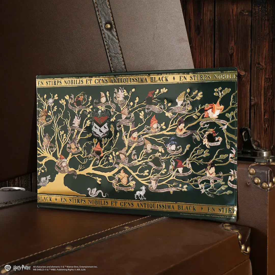 Plaque en aluminium Famille Black - Harry Potter, une décoration captivante pour les fans, affichant un design élégant et magique.