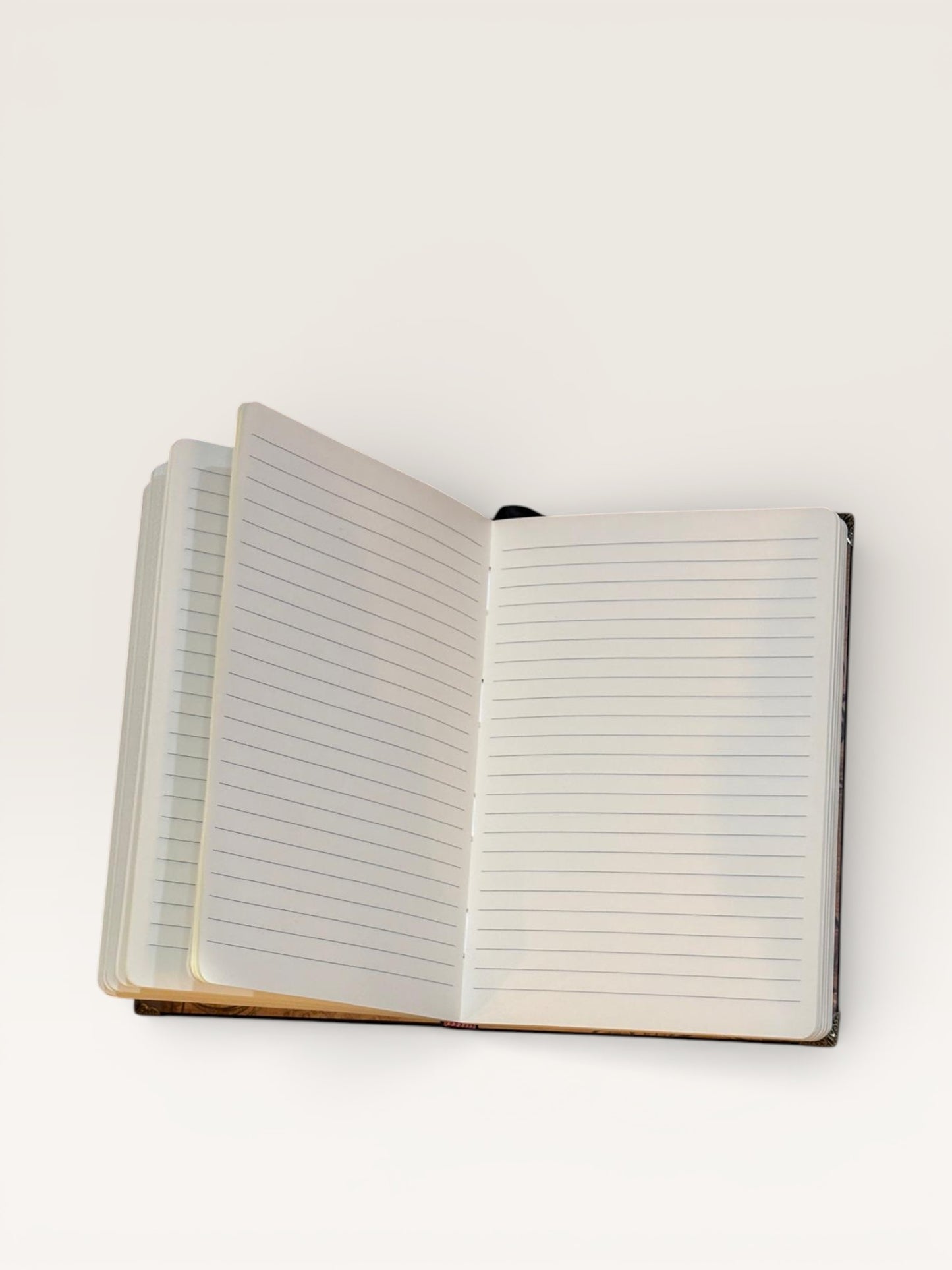 Carnet Livres de MELLYSTEP, une bibliothèque secrète à portée de main, avec une couverture vintage ornée de rayonnages anciens. Idéal pour les amoureux de l'écriture et de la lecture.