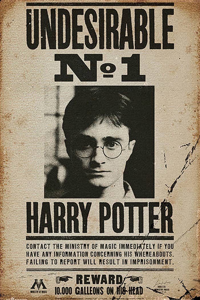 Affiche Harry Potter Indésirable n° 1 91,5 x 61 cm