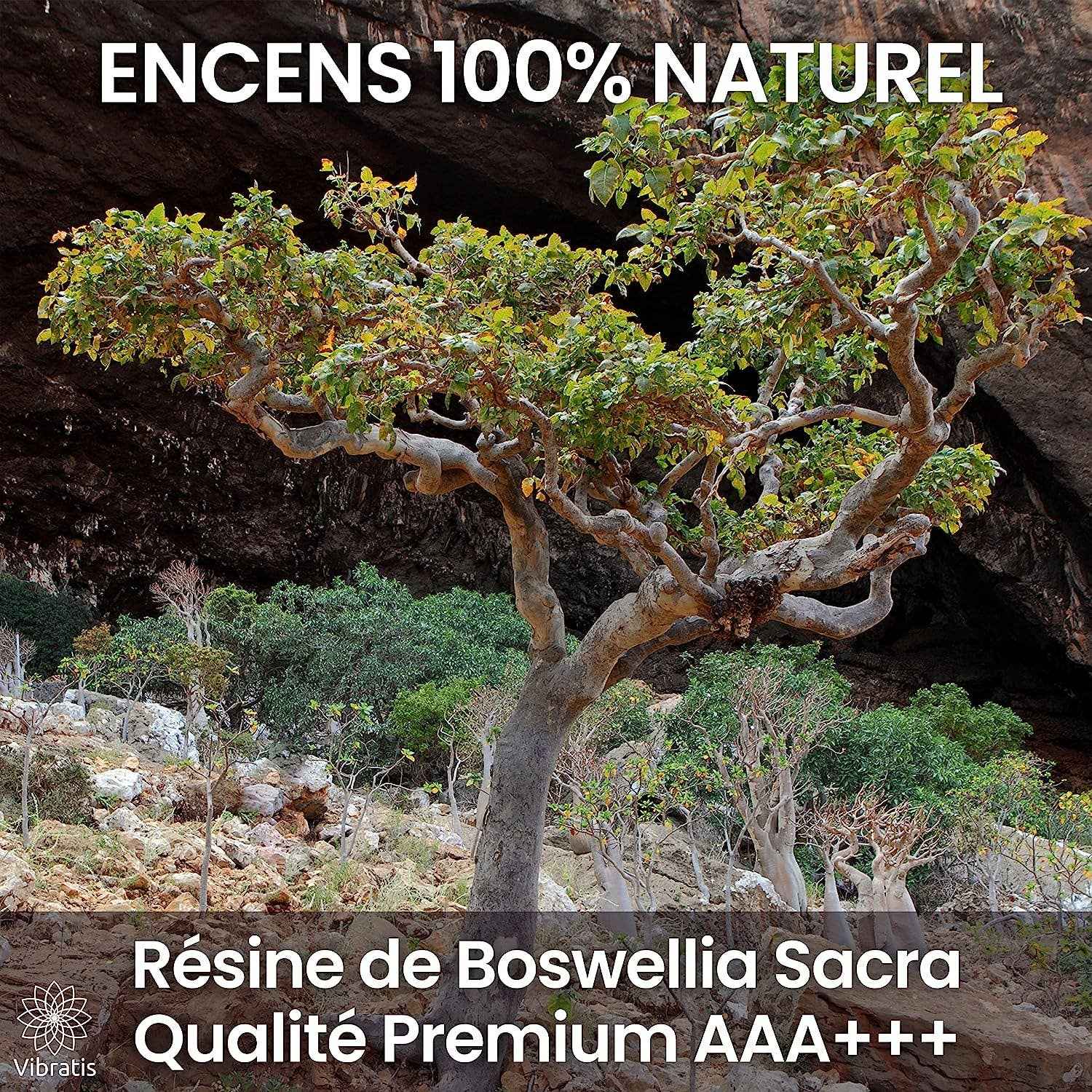 100g d'encens oliban dans le coffret de fumigation Vibratis, pour transformer votre espace en havre de paix.
