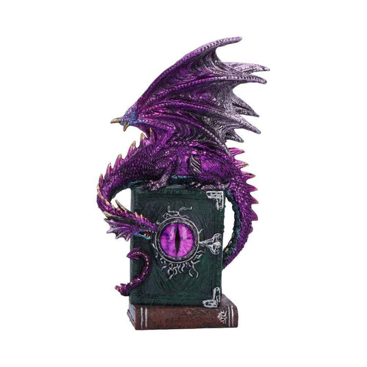 Figurine de dragon violet Dragon Fable de 24 cm sur livre, artisanat de qualité de Nemesis Now, une touche de magie et de mystère pour votre décoration intérieure.
