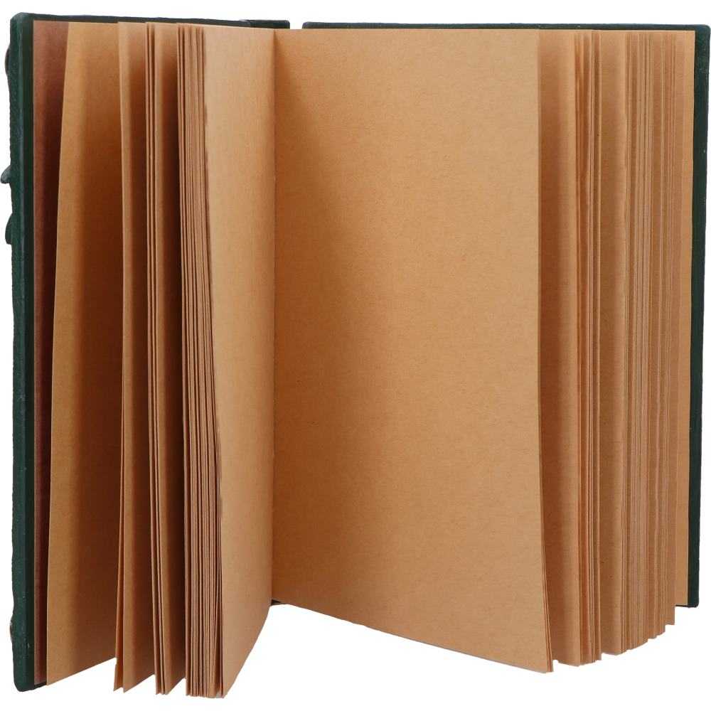 Vue d'ensemble du Grimoire du Dragon de Nemesis Now, un carnet de notes captivant pour libérer votre imagination et capturer l'aventure.