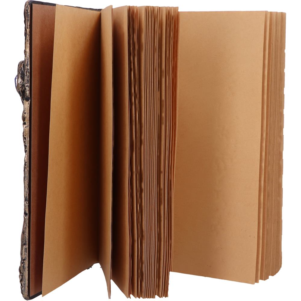 Vue rapprochée de la figurine de sorcier sur le Grimoire du Magicien de Nemesis Now, capturant l'essence de la magie et de l'imagination.