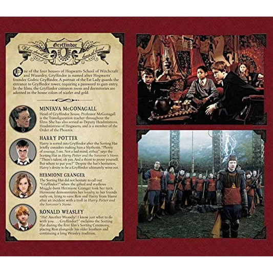 Journal de poche ligné Gryffondor de Harry Potter, édité par Ankorstore, un carnet inspiré de la magie avec des illustrations captivantes de Poudlard.