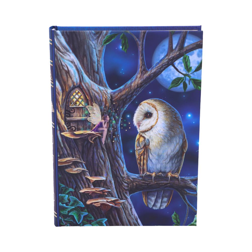 Journal des contes de fées 17cm de Nemesis Now avec une illustration magique d'un hibou et d'une fée sur un champignon, parfait pour capturer vos rêves.