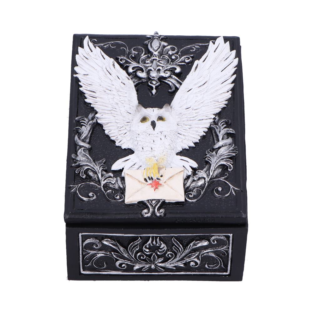 Boîte de bibelots Owl Messenger