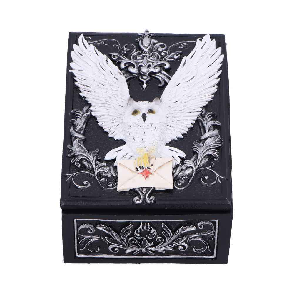 Boîte de bibelots Owl Messenger de Nemesis Now, ornée d'un hibou blanc mystérieux tenant une lettre, idéale pour les collectionneurs et amateurs de décoration gothique.