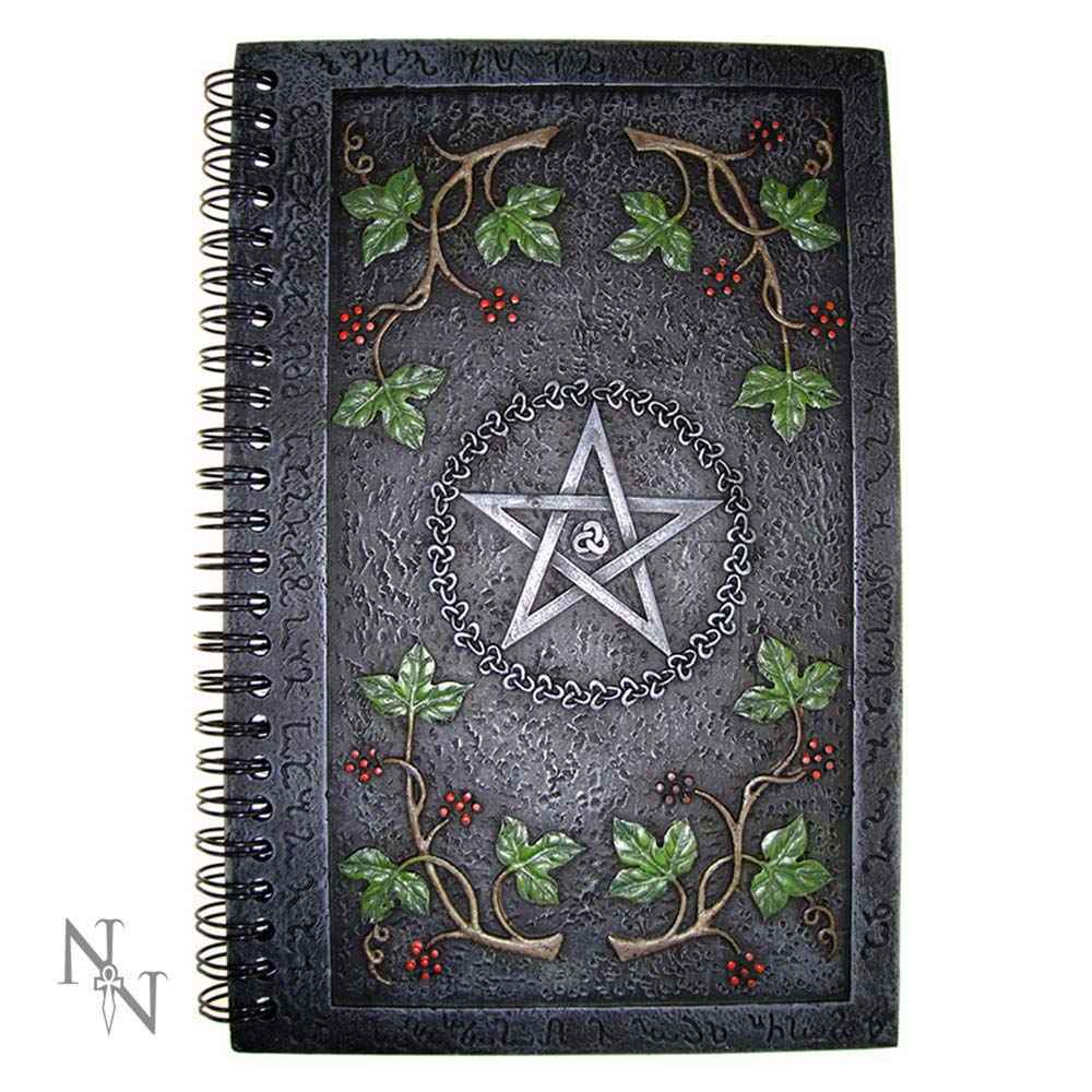 Wiccan Livre des Ombres Journal avec une couverture en résine de pentagramme de Nemesis Now, idéal pour vos écritures ésotériques, combinant mystique et élégance.