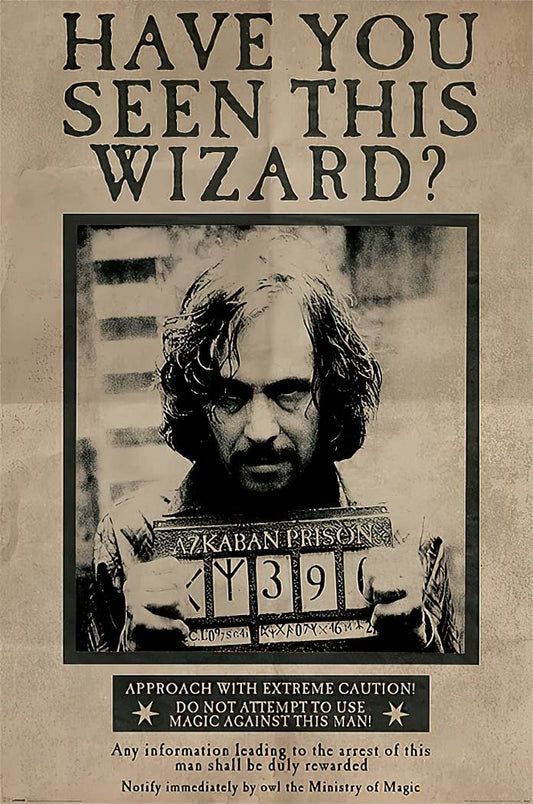 Harry Potter et le prisonnier d'Azkaban 91,5 x 61 cm