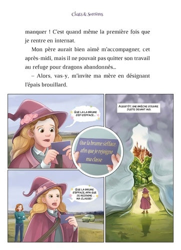 Moment palpitant de l'histoire 'Chats & Sorcières Tome 1 : Magies, gaffes et compagnie' par AU BORD DES CONTINENTS, révélant le mystérieux chat-sorcier Flamme de Rose.
