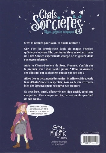 Illustration captivante de la couverture de 'Chats & Sorcières Tome 1 : Magies, gaffes et compagnie' par AU BORD DES CONTINENTS, mettant en scène une sorcière et son chat enchanté dans un monde féérique.