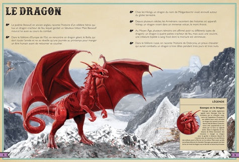 Représentation artistique d'une licorne légendaire présente dans le livre extraordinaire des créatures fantastiques, publié par AU BORD DES CONTINENTS.