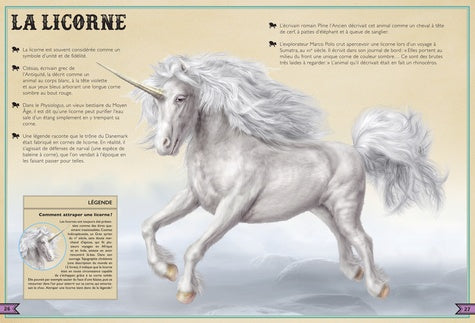 Illustration captivante du kraken, dévoilant son mystère dans le livre extraordinaire des créatures fantastiques de AU BORD DES CONTINENTS.