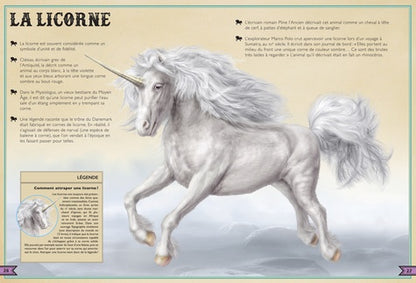 Illustration captivante du kraken, dévoilant son mystère dans le livre extraordinaire des créatures fantastiques de AU BORD DES CONTINENTS.