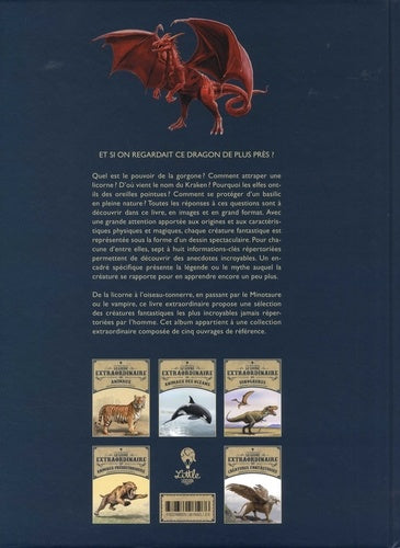 Dessin spectaculaire d'une gorgone, mettant en avant le pouvoir mystérieux dans le livre extraordinaire des créatures fantastiques par AU BORD DES CONTINENTS.