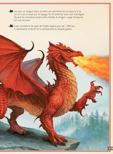 Couverture rigide illustrée de 'Le livre extraordinaire des dragons' de AU BORD DES CONTINENTS, un trésor littéraire.