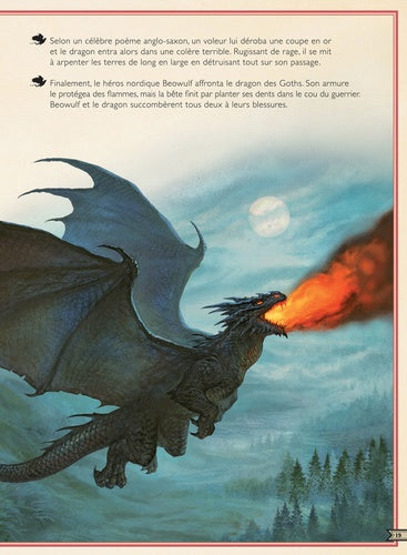 Couverture rigide illustrée de Le livre extraordinaire des dragons par AU BORD DES CONTINENTS, présentant une scène fascinante et colorée qui attire l’œil des amoureux des dragons.