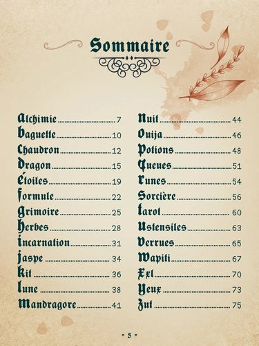 Une potion magique illustrée provenant du livre 'L'abécédaire de la magie' de AU BORD DES CONTINENTS, captivant l'imagination des jeunes sorcières.