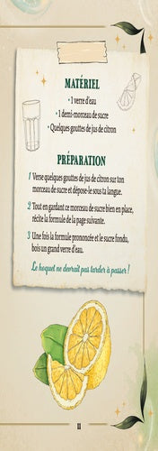 Grimoire 'Mes petites formules magiques' d'AU BORD DES CONTINENTS, rempli d'astuces enchantées pour embellir la vie quotidienne.