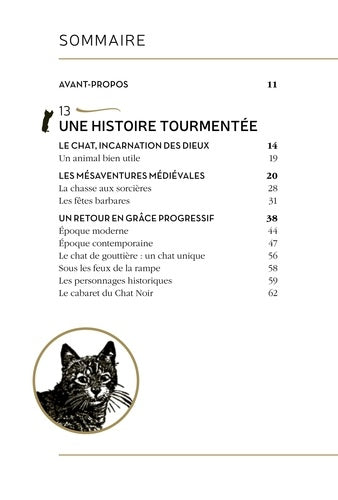 Image artistique du chat noir entouré de légendes anciennes, produit par AU BORD DES CONTINENTS, explorant ses significations mystiques.