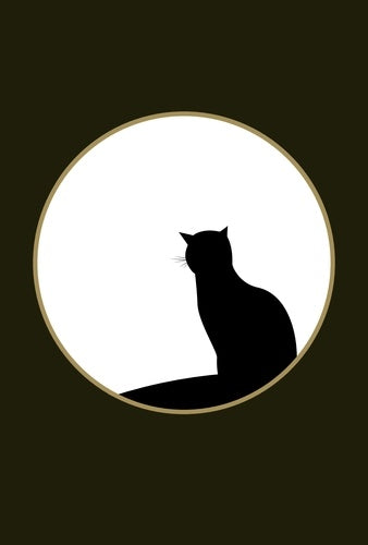 Détails captivants sur un chat noir en papier recyclé, symbolisant les légendes et croyances ancestrales, produit par AU BORD DES CONTINENTS.