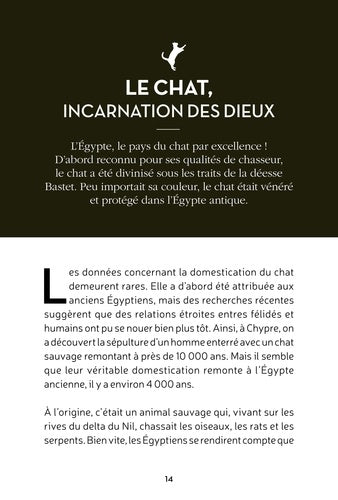 Image emblématique d'un chat noir entouré de mystère et de légendes, illustrant le titre 'Mystérieux chat noir. Symboles & Superstitions' par AU BORD DES CONTINENTS.