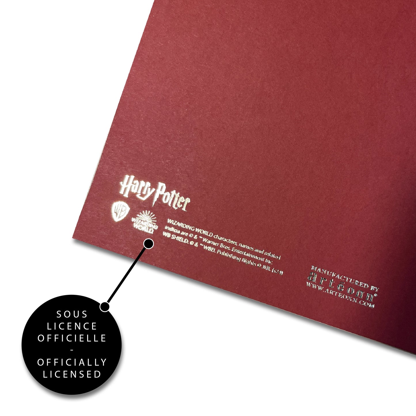 Affiche de collection Gryffondor - Harry Potter, une œuvre captivante de Distrineo pour plonger dans l'univers d'Harry Potter.