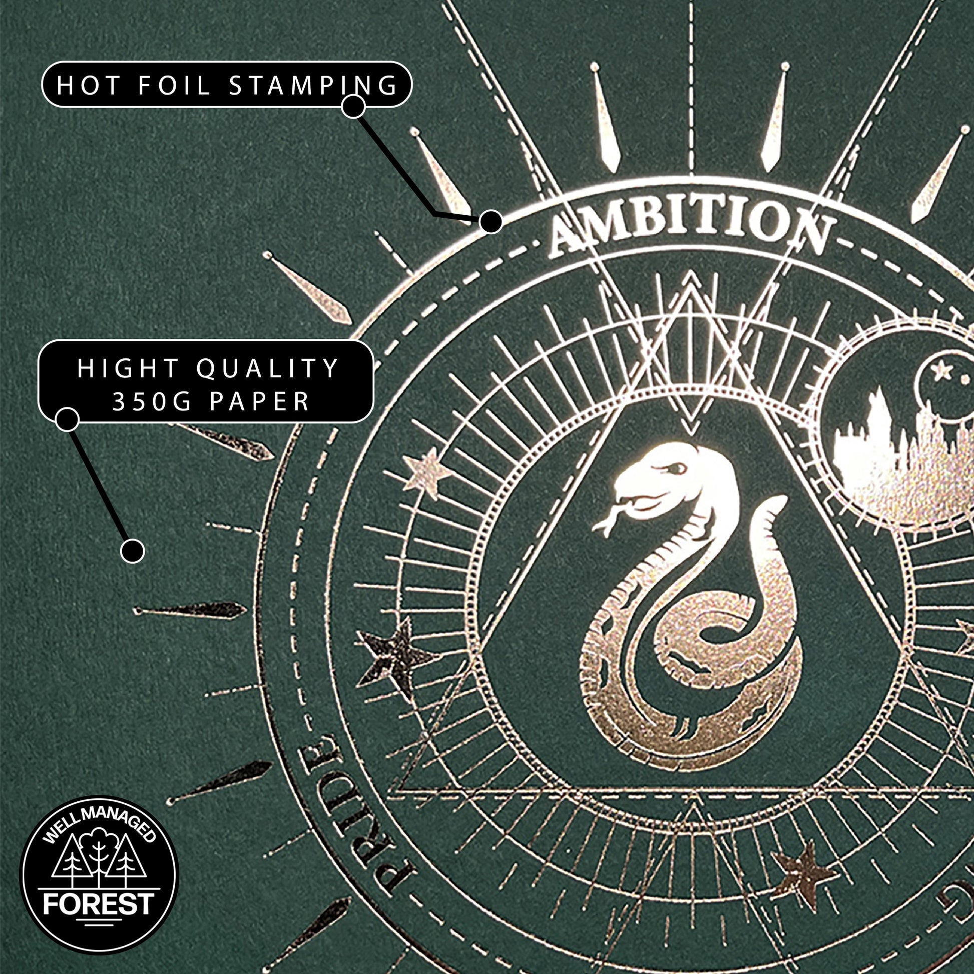 Détail de l'affiche de collection Serpentard - Harry Potter, mettant en avant la qualité du papier et le design élégant.