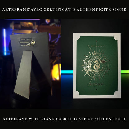 Affiche de collection Serpentard - Harry Potter présentée dans un cadre moderne, parfaite pour les fans de la saga.