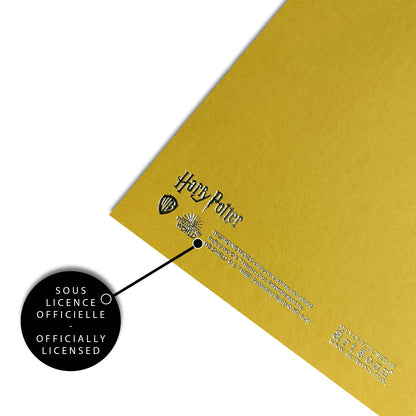 Affiche de collection Poufsouffle - Harry Potter, une pièce idéale pour les sorciers en herbe qui souhaitent enrichir leur espace de vie.